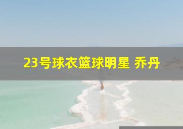 23号球衣篮球明星 乔丹